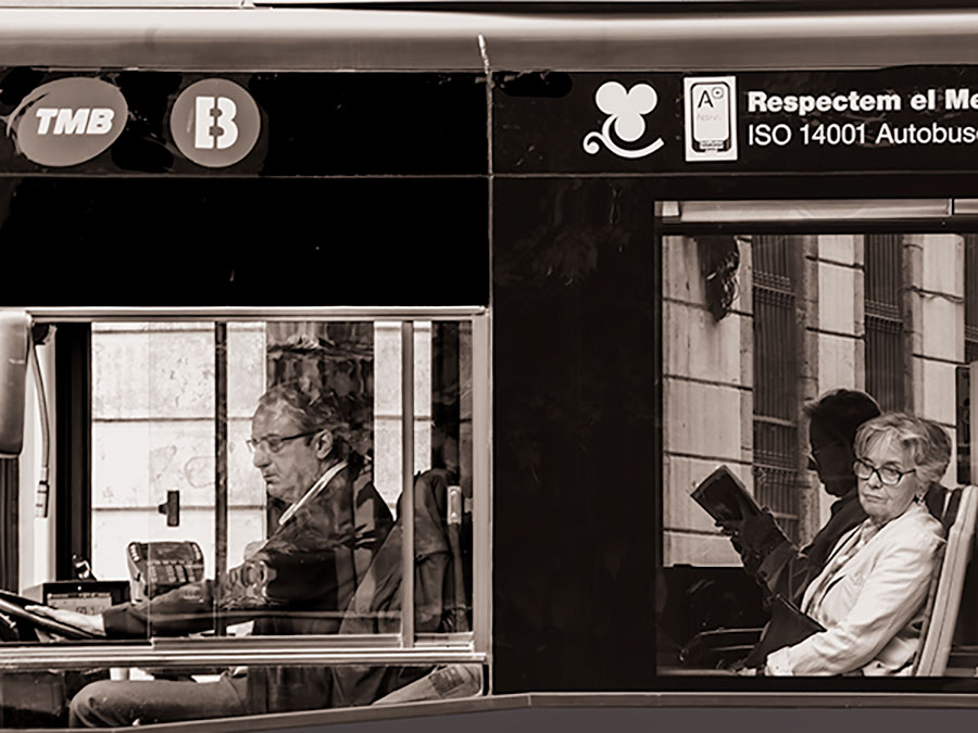 Driver and passenger looking outside bus at something