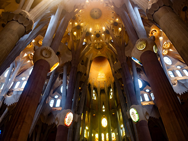 Sagrada Cathedral looking up to ceiling